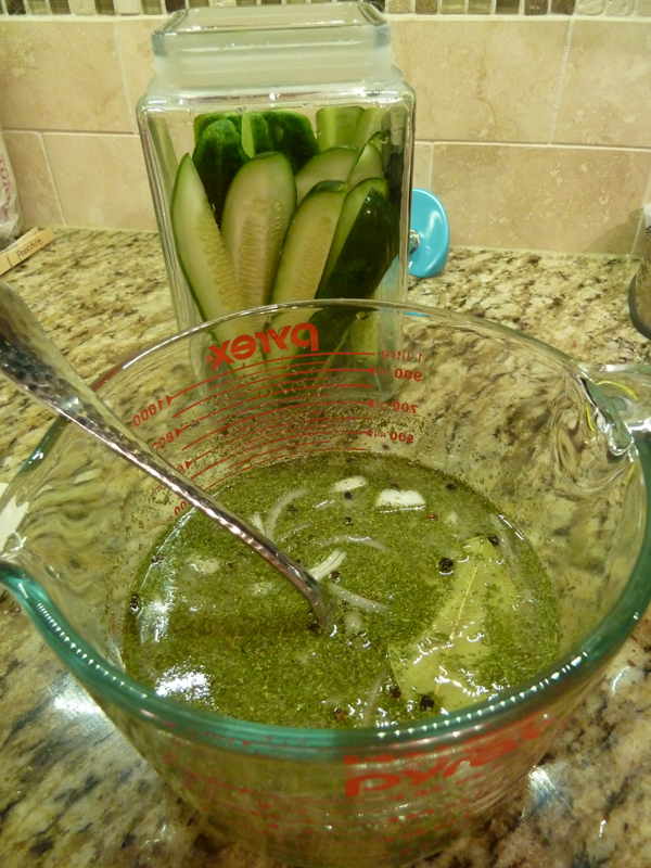 easy-dill-fridge-pickles